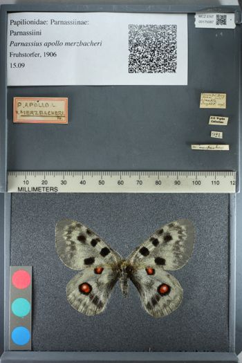 Media type: image;   Entomology 175087